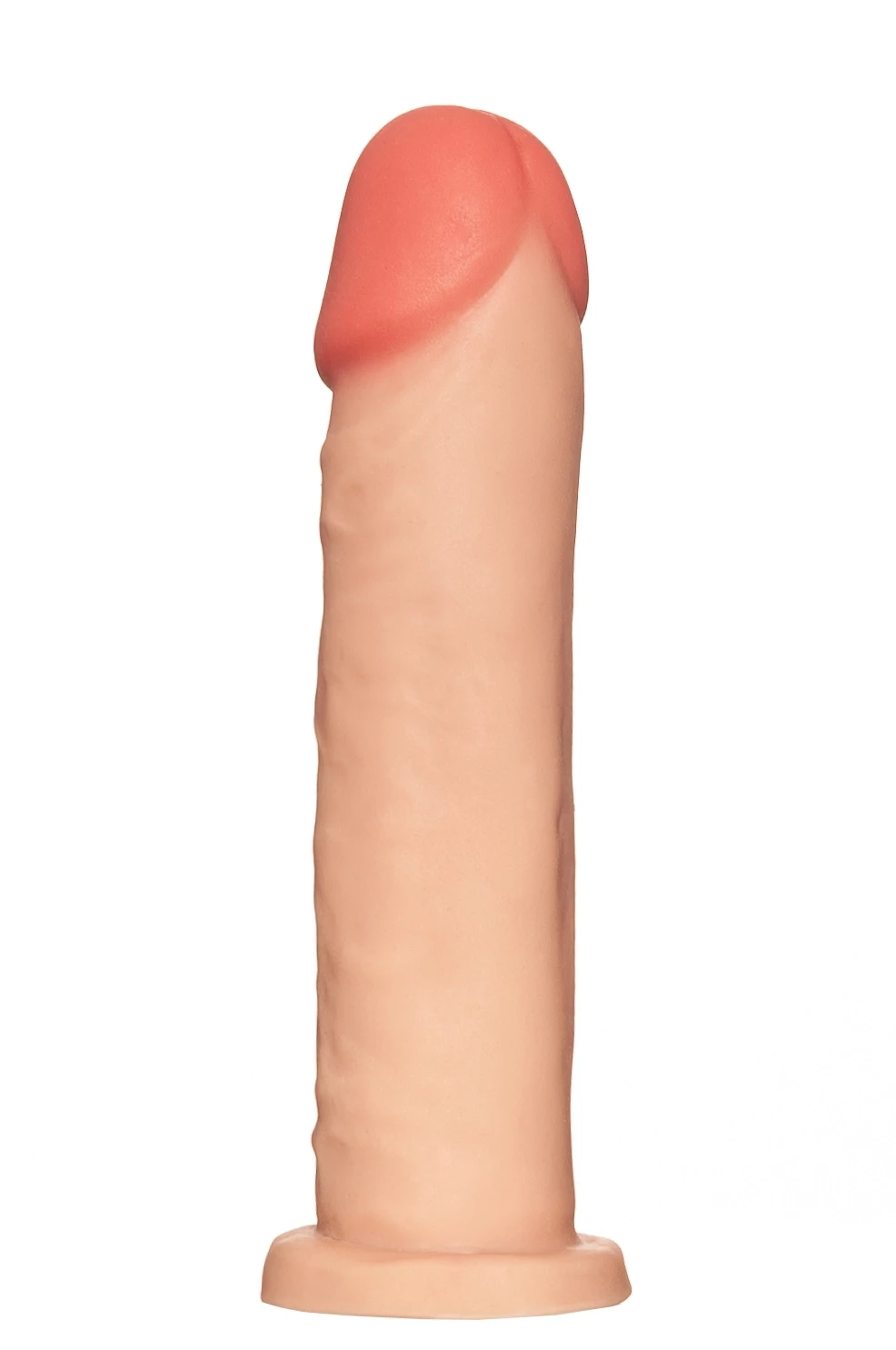 BERNARD - REALISTIC - SIMPLES - BEGE - 19x4cm
